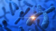 成都试管婴儿私立医院排行榜：哪家医院排行第