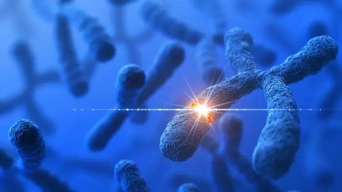 成都试管婴儿私立医院排行榜:哪家医院排行第一