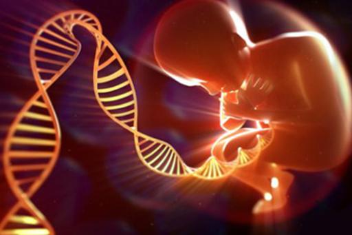 乐山可以做试管婴儿吗，哪家医院比较不错