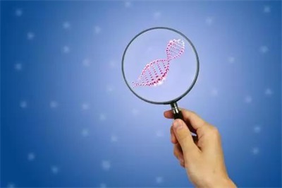 做试管婴儿期间感冒了，会影响试管成功嘛