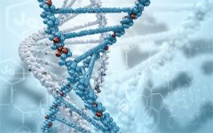 泸州做试管婴儿可以生双胞胎吗