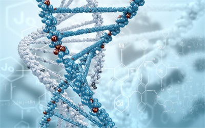 泸州做试管婴儿可以生双胞胎吗